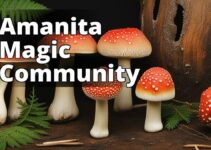 The Ultimate Amanita Muscaria Enthusiast’S Handbook: Tips, Tricks, And More