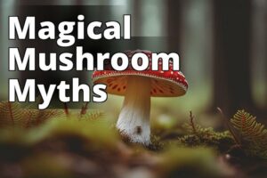 Amanita Muscaria: The Fascinating Folklore Behind The Sacred Mushroom