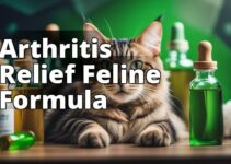 Cat Arthritis Relief: How Cbd Oil Can Make A Difference