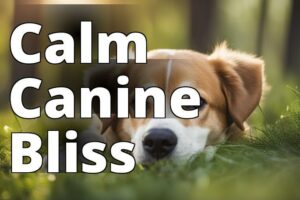 Unleash Calm: How Cbd Oil Benefits Dogs With Anxiety Issues
