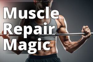 Revitalize And Recover: The Ultimate Guide To Cbd Oil Benefits For Muscle Repair