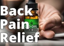 Effective Cbd Oil For Back Pain: Unveiling Its Healing Powers