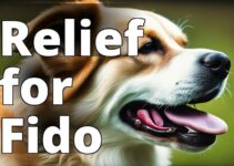A Natural Solution: How Cbd Oil Benefits Dogs With Ear Infections