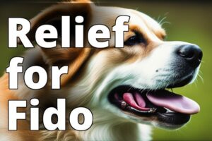 A Natural Solution: How Cbd Oil Benefits Dogs With Ear Infections