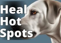 Hot Spot Relief For Dogs: Unleashing Cbd Oil’S Benefits