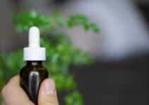 Efficacy Of Cannabidiol Oil In Chronic Pain Studies