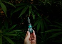 Ease Neuropathic Pain: Mastering Sublingual Cannabis Drops